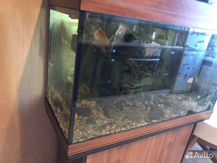 Аквариум 200 литров с тумбой