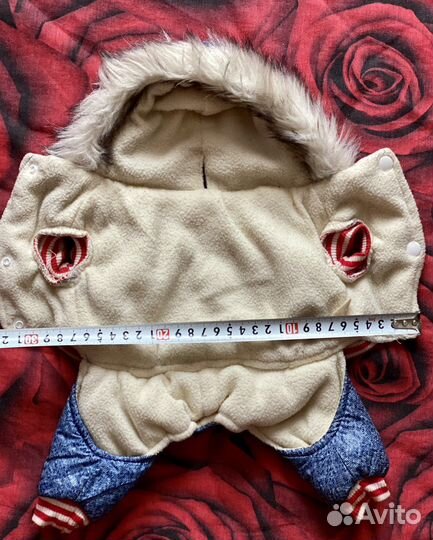 Одежда для маленьких собак s