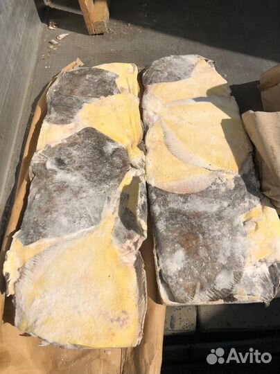 Рыба свежемороженая. Напрямую с камчатки. Опт