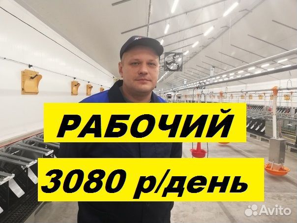 Вахта в Челябинске.Проезд.Питание.Дезинфектор