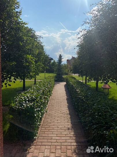 Стрижка кустов