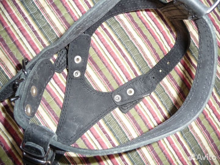 Шлейка для собаки