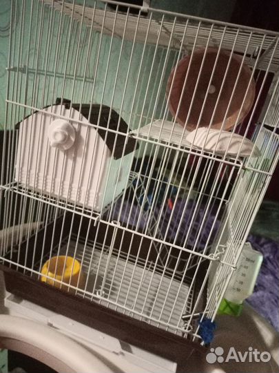 Клетка для грызунов