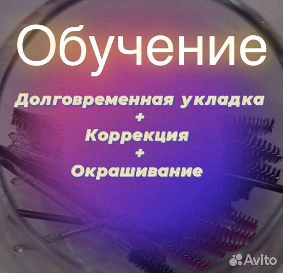 Обучение,курс бровиста