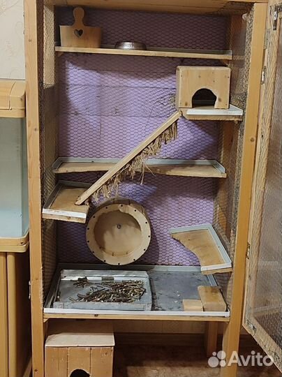 Витрина клетка для дегу, шиншилл