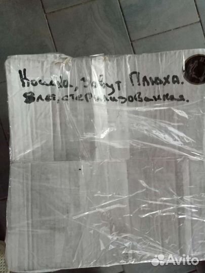 Кошка Плюха в добрые руки