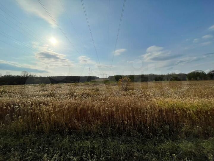 Участок 2,39 га (СНТ, ДНП)