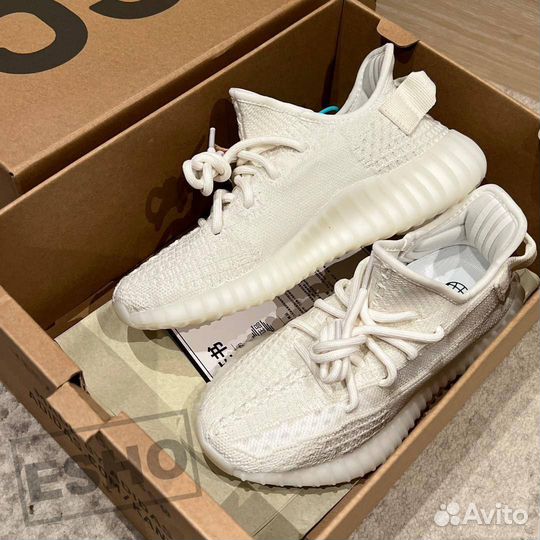 Adidas Yeezy Boost 350 V2 Bone