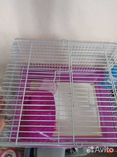 Клетка для джунгарского хомяка