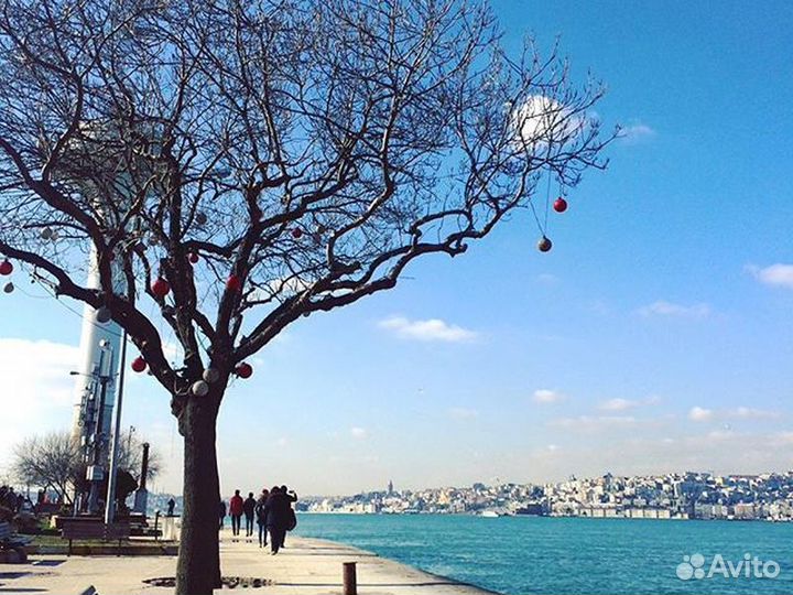 Экскурсия — Стамбул — Азиатский Стамбул: история