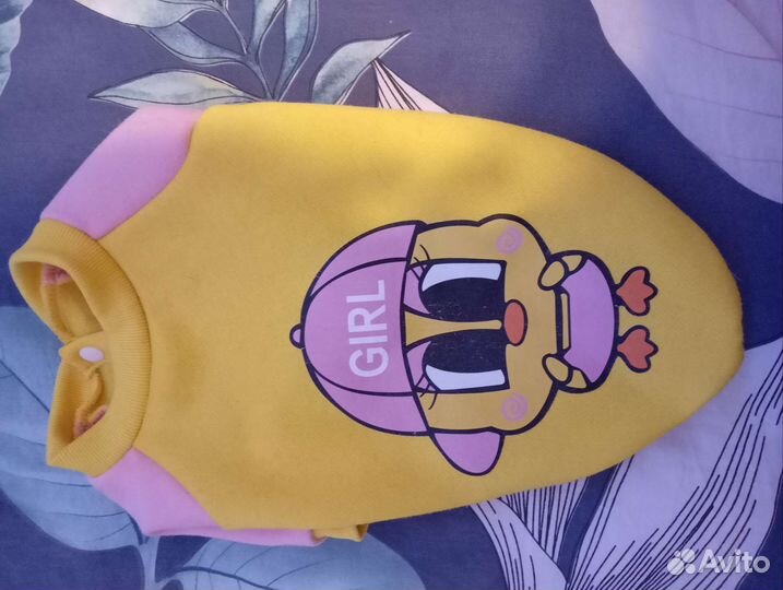 Одежда для маленьких собак