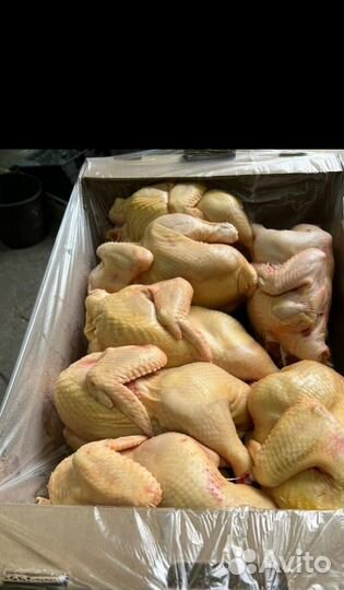 Куры бройлеры тушки мясо