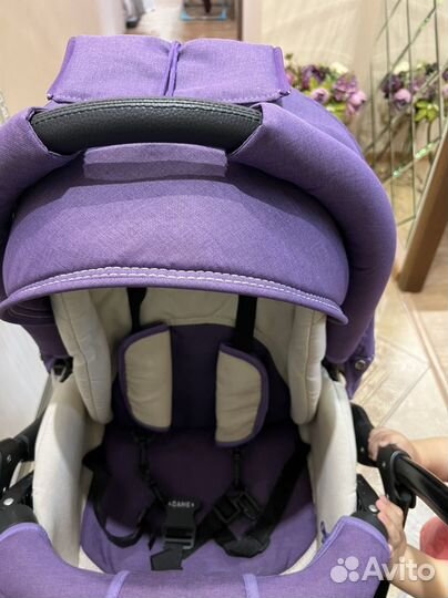 Коляска 2 в 1 Adamex nitro