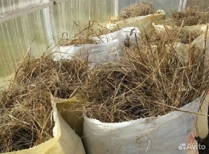 Сено Стружка есть в наличии