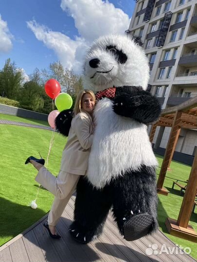 Поздравление от Белого Медведя и весёлой Панды