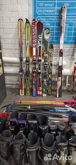 Горные лыжи от 110 до 180 см