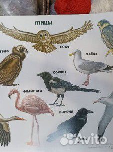 Обучающий плакат