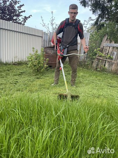 Свежескошенная Трава для Животных