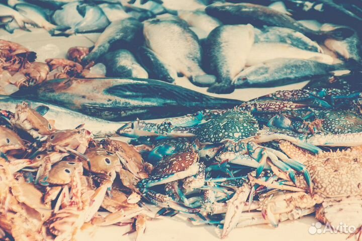 Продаётся рыбный магазин Волнорез