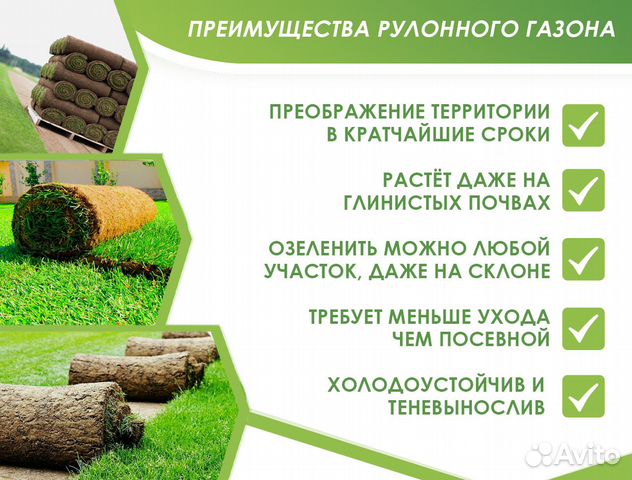 Рулонный газон под ключ купить в Москве | Товары для дома и дачи | Авито
