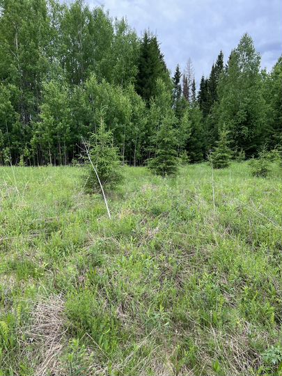 Участок 8,99 га (СНТ, ДНП)