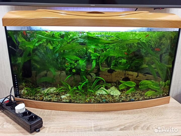 Аквариум на 106 литров