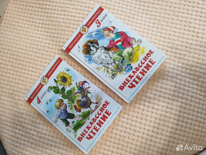 Внеклассное чтение