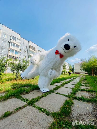 Белый мишка поздравление