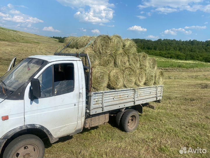 Продам сено в маленьких рулонах 2024