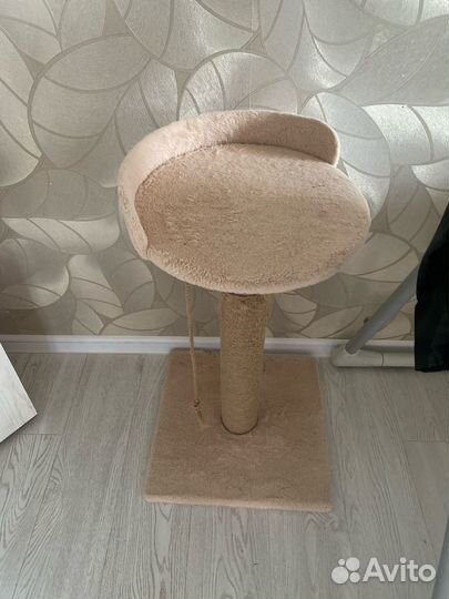 Когтеточка для кошек