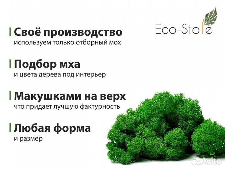 Узкое панно из мха в ванную