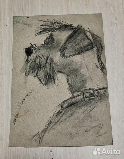 Портреты животных на заказ