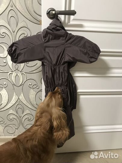 Комбинезон для средней собаки
