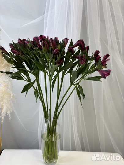 Букет альстромерия