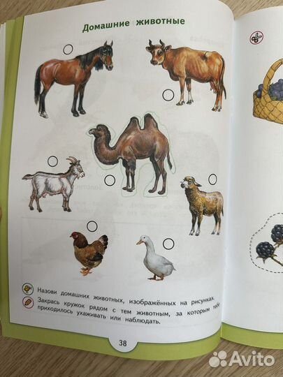 Плешаков аа, зеленая тропинка