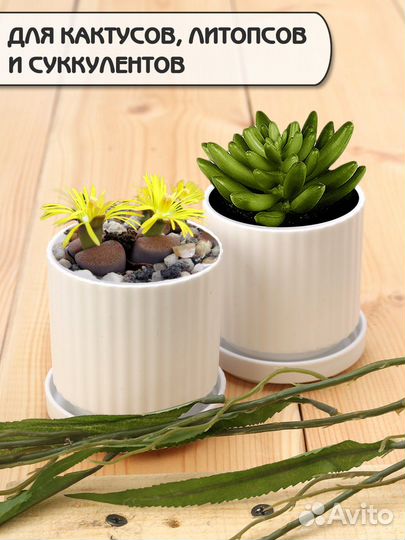 Горшок для цветов мини Набор кашпо для маленьких р