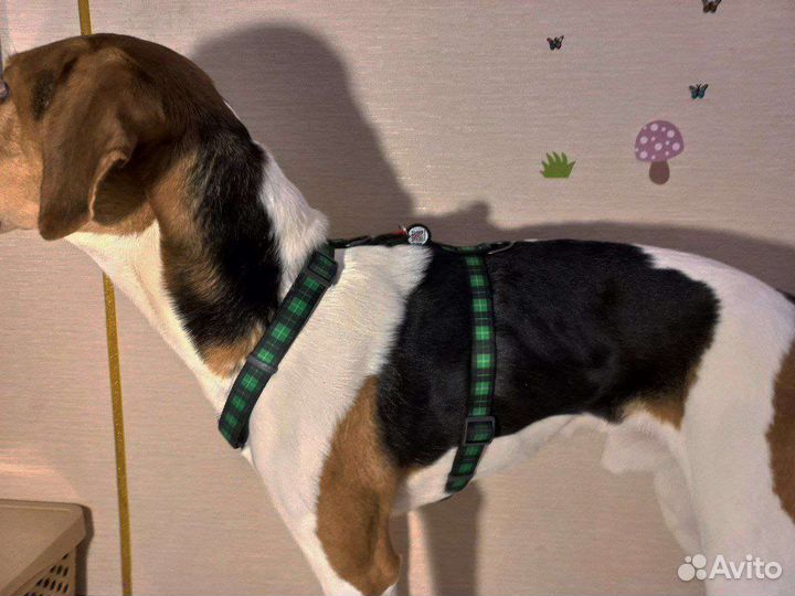 Шлейка waudog