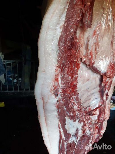 Свинина домашняя, есть шпиковые кондиции