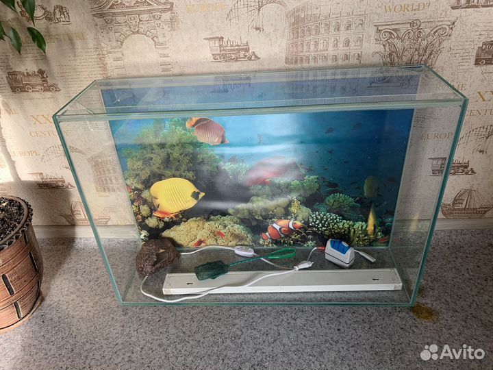 Аквариум