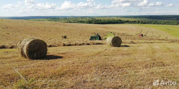 Продам луговое сено в рулонах