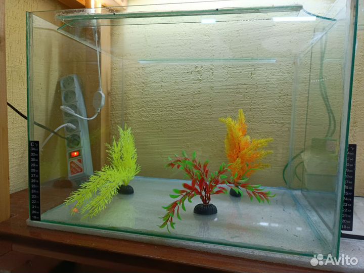 Аквариум, декор в аквариум