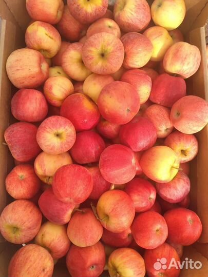 Овощи и фрукты оптом