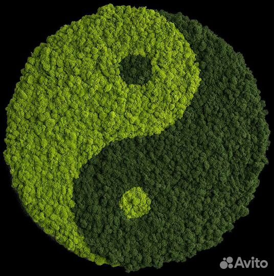 Панно из мха фитокартина