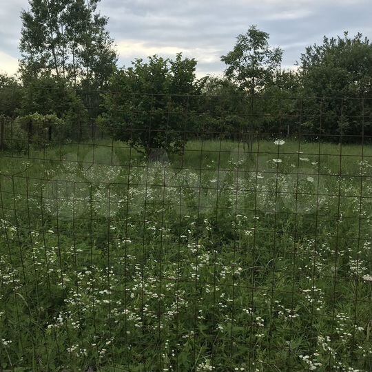 Участок 5,6 сот. (СНТ, ДНП)