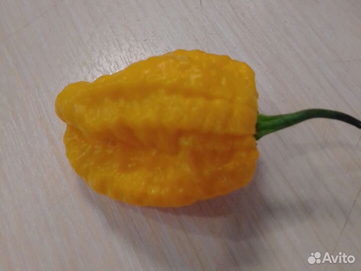 Особо острый сорт перца