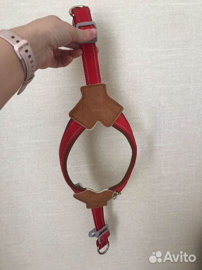 Шлейка анатомическая для щенков и собак мел.пород