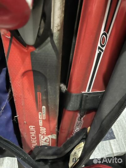 Горные лыжи