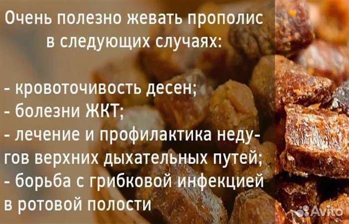 Прополис пчелиный