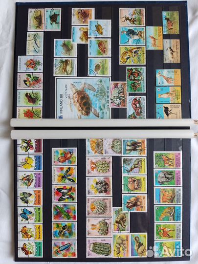 Марки в альбоме Lindner