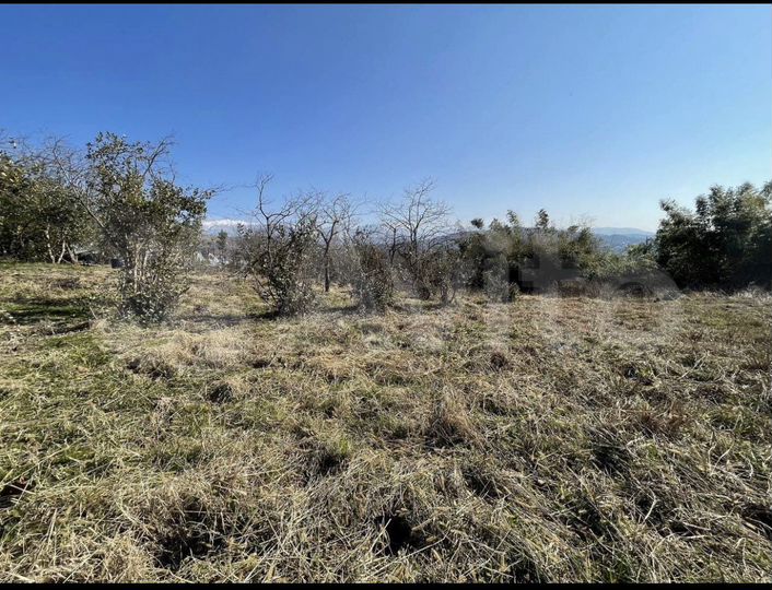 Участок 38 сот. (ИЖС)